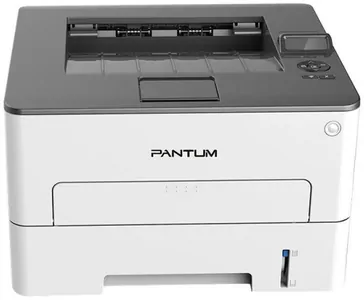 Замена прокладки на принтере Pantum P3300DW в Новосибирске